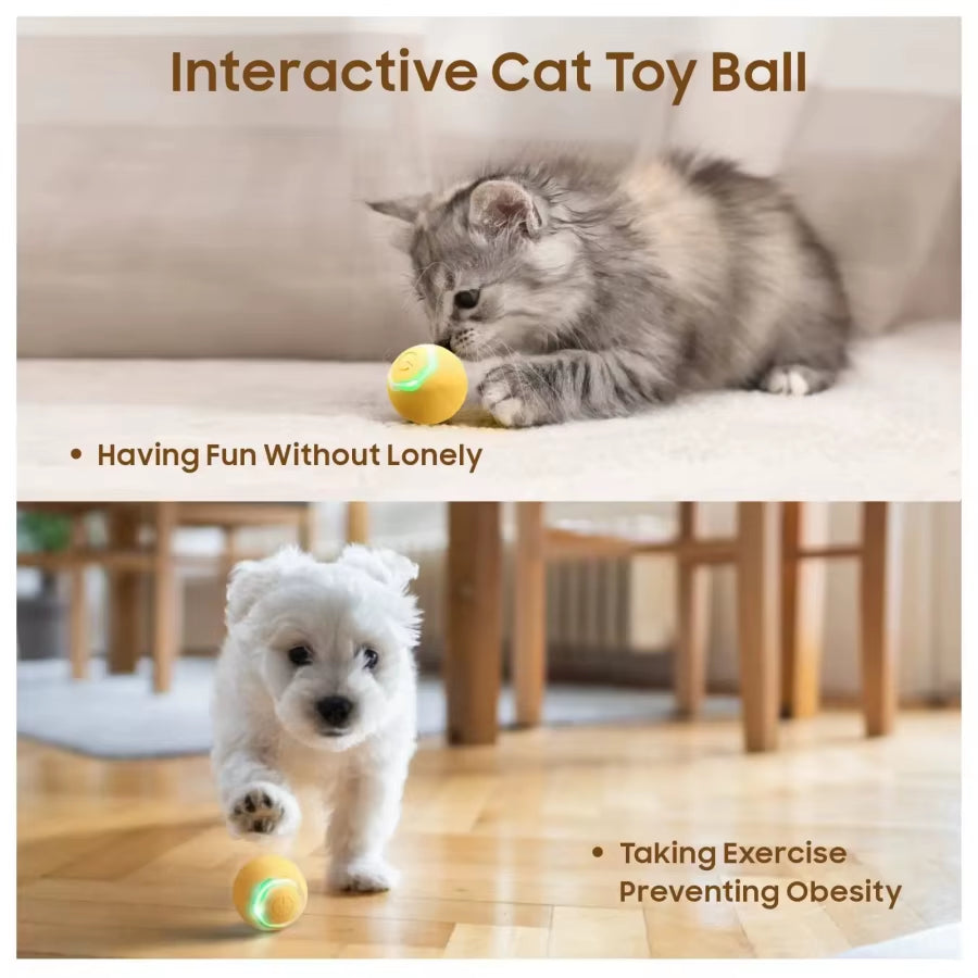 Pet Cat Toys Automatic Rolling Smart Cat Ball Training Self-Moving Kitten Toy Cat Playing Indoor Interactive Pet Toys