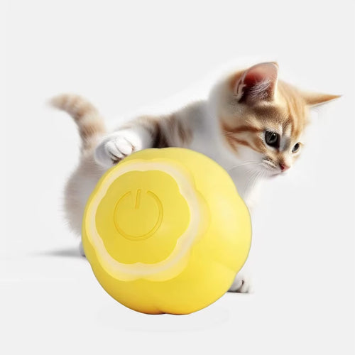 Pet Cat Toys Automatic Rolling Smart Cat Ball Training Self-Moving Kitten Toy Cat Playing Indoor Interactive Pet Toys